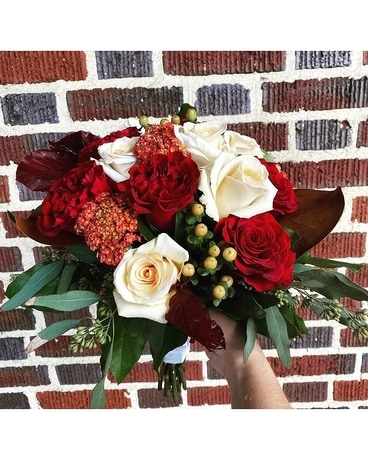 Fall Roses